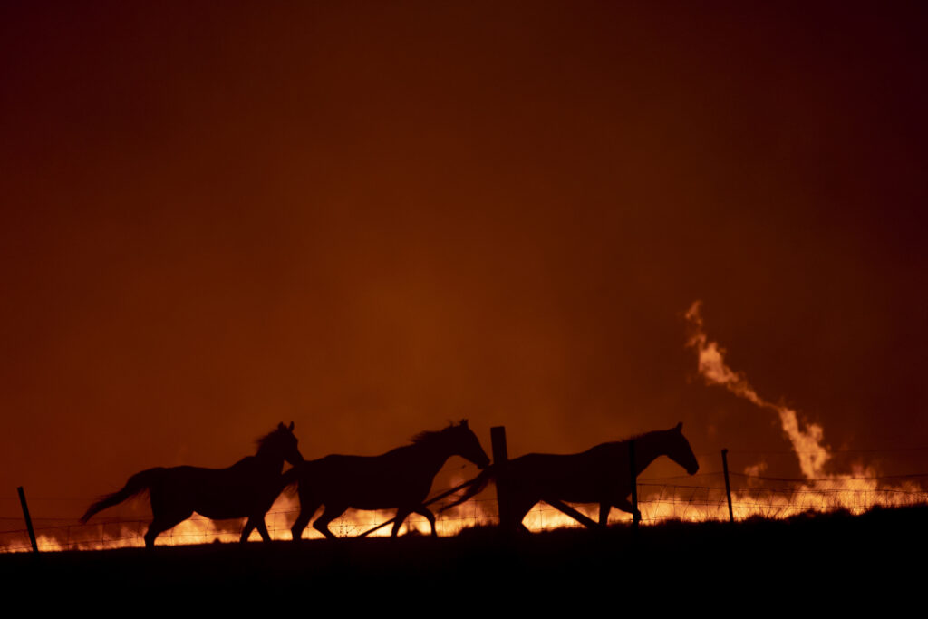 Fire