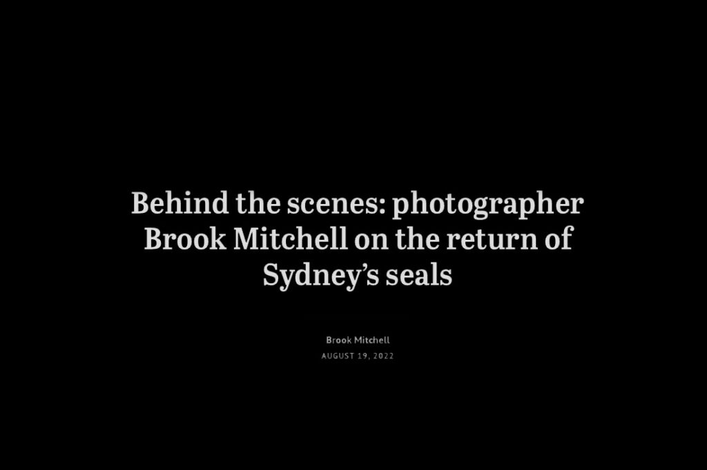 Sydney’s Seals